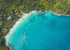 注冊(cè)塞舌公司類型及優(yōu)勢(shì)有哪些？