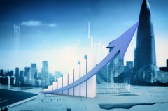 解答注冊菲律賓公司做簽證業(yè)務是否需要特殊牌照